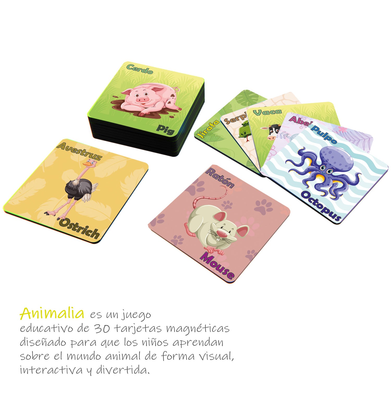 ANIMALIA – Juego Educativo de animales Tarjetas Magnéticas (30 piezas)